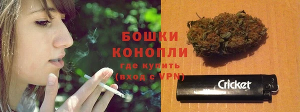 ГАЛЛЮЦИНОГЕННЫЕ ГРИБЫ Богородск