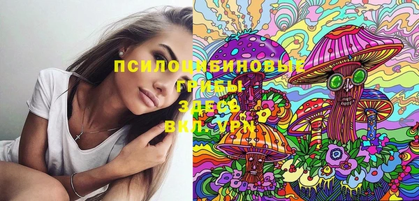 хмурый Богородицк