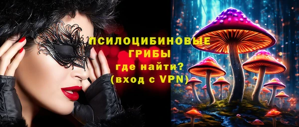 ГАЛЛЮЦИНОГЕННЫЕ ГРИБЫ Богородск